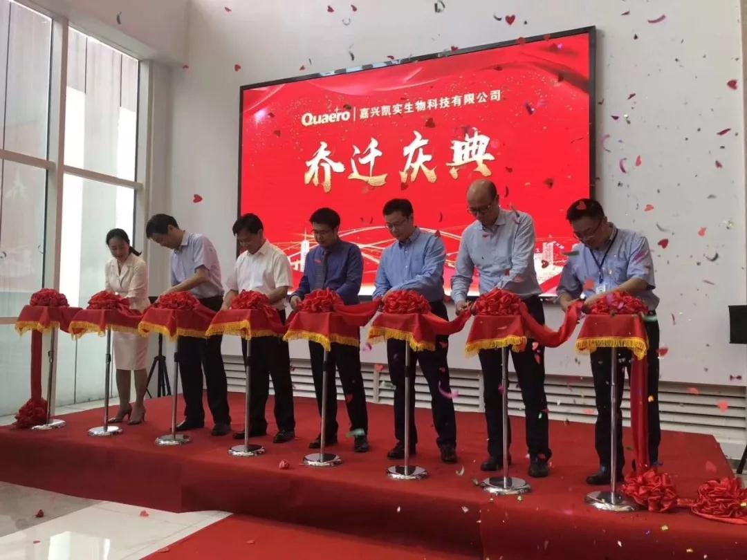 1562924165530765.jpg 1562924165530765.jpg